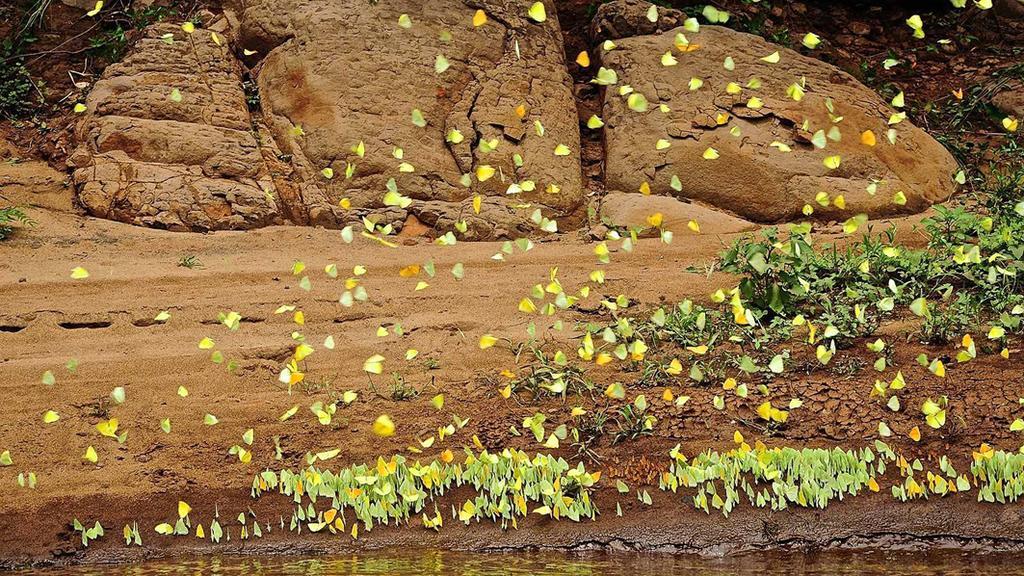Posada Del Chaman Iguazu Puerto Iguazu Bagian luar foto